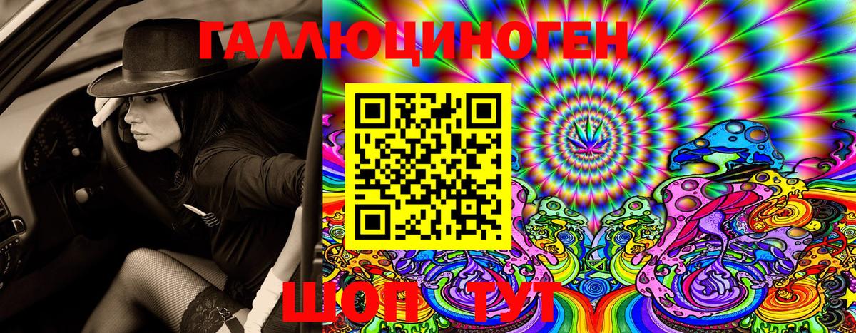 Псилоцибиновые грибы GOLDEN TEACHER  Вход с VPN  Галлюциногенные грибы MAGIC MUSHROOMS  Грозный 