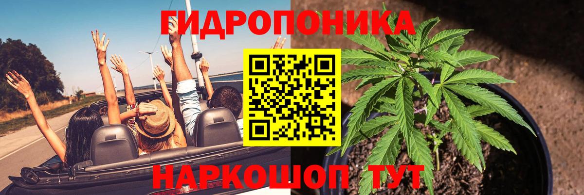 Грозный  Конопля Ganja  Вход с VPN  Конопля Amnesia 